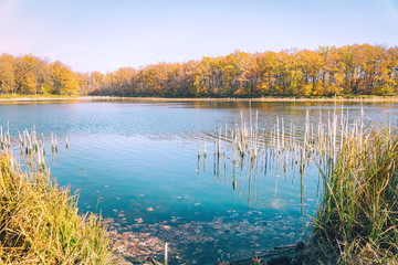 Beautiful lake in the autumn forest against blue sky