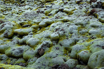 Eldhraun lava field in Iceland