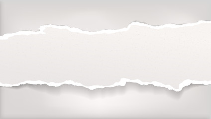 Piece of torn white horizontal paper strip with soft shadow is on grey background. Vector illustration