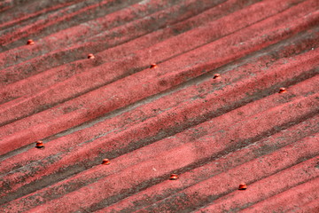 Large dilapidated dark red roof tiles with faded color texture background held together with strong red rivets on warm sunny spring day