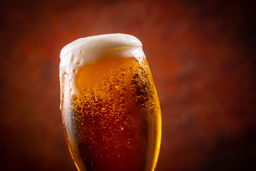 ビールで乾杯