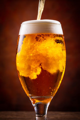 ビールで乾杯