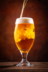 ビールで乾杯