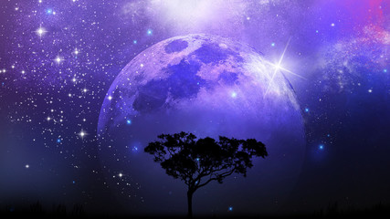 tree silhouette, moon, galaxy fantasy background