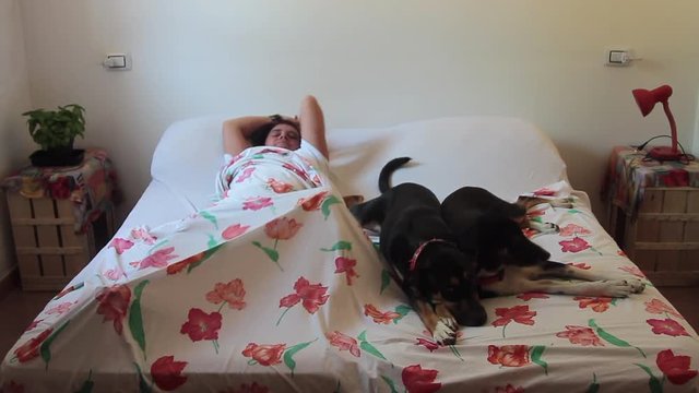 woman sleeping with the dog in the bed