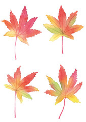 紅葉　水彩イラスト　セット