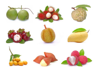 Thai fruits collection isolated on white background. (Durian, Mango, Magosteen, Rambutan, Lychee, Salak, Custard apples, Marian Plum, and young Coconuts) Tropical fruits mixed collection.