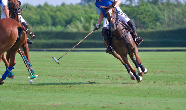 The Polo player ride a horse, battle in horse polo sport. 
