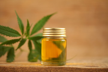 cbd oil hemp plant. medical cannabis