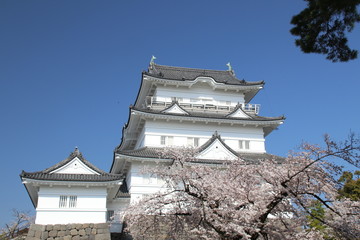 快晴の小田原城