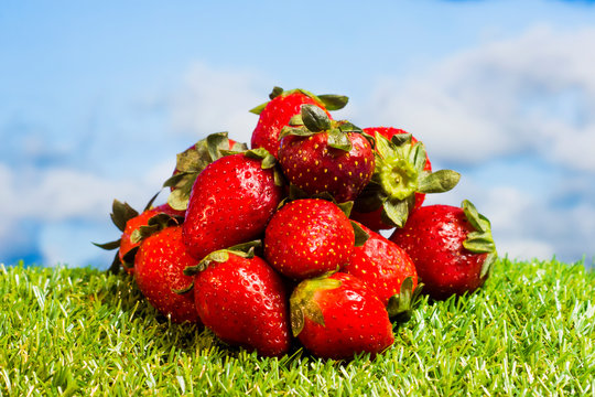Red strawberries on green grass with blue sky background