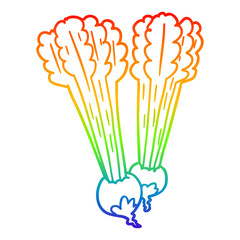 rainbow gradient line drawing Cartoon beetroots