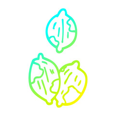 cold gradient line drawing cartoon nuts in shells