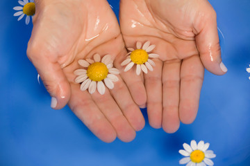 Female hands in a bowl with water and flowers