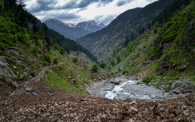 green meadow glacier and snow mountains