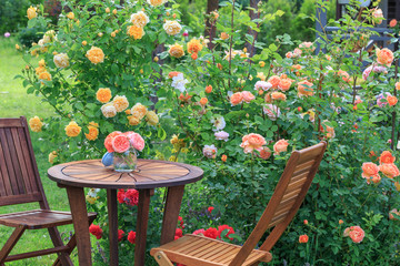 Romantic sitting area in the rose garden, round wooden table and chairs near the large flowering...
