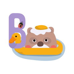Vector cute kids animal alphabet. Letter B for the Bear. Cute Animal Vector illustration Bear.