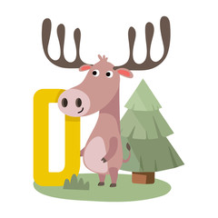 Vector cute kids animal alphabet. Letter D for the Deer. Cute Animal Vector illustration deer.