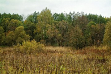 Obraz premium cloudy autumn evening in the countryside, Russia