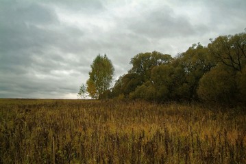 Obraz premium cloudy autumn evening in the countryside, Russia