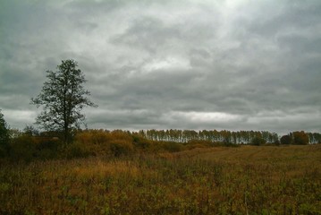 Fototapeta na wymiar cloudy autumn evening in the countryside, Russia