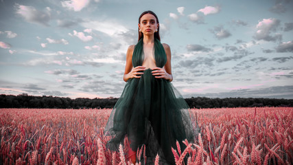 A beautiful girl of Asian appearance is standing in a red field in a dress