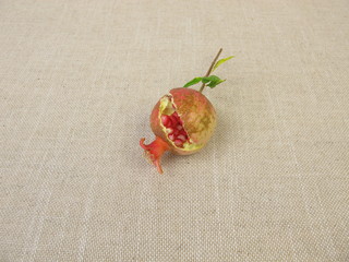 Burst opened mature dwarf pomegranate with seeds