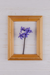 Flowers in a decorative frame