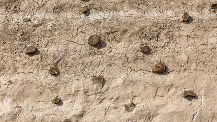 Ancient style wall , Dry mud and dirt wall with wood , composite wall