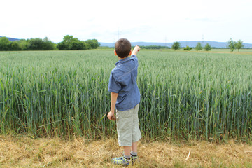 boy in a denim shirt and shorts stands at the edge of a green field with a rich harvest of wheat in the ears ripening in the fields, shows his right hand to distant mountains