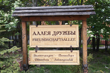 Selenogradsk, Russia - MAY 25 2019: Some people are walking in pedestrian street of resort town, summer time