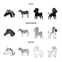 Vector design of trot and running symbol. Collection of trot and clipart stock symbol for web.