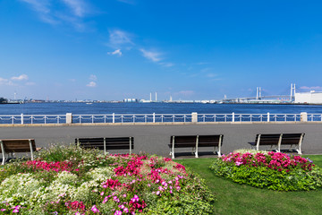 神奈川県ｰ風景 山下公園から望む風景１ Wall Mural Moarave