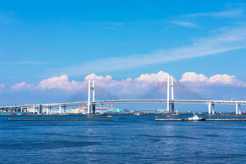 (神奈川県ｰ風景)夏空の下の大黒ふ頭側風景２