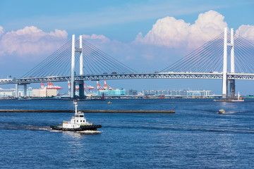 (神奈川県ｰ風景)夏空の下の大黒ふ頭側風景５