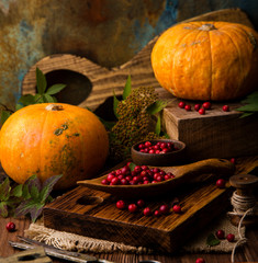 two orange ripe pumpkins on wooden boards with cowberries, leaves, sackcloth, old scissors