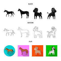 Vector design of trot and running sign. Collection of trot and clipart vector icon for stock.