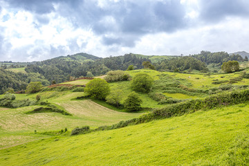 Fototapeta na wymiar Landscape in the south of Sao Miguel island, Azores