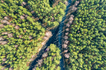 Cross roads in the middle of green woods, aerial view