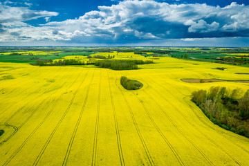 Aerial view of yellow rape fields in cloudy day, Poland