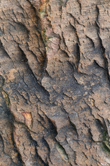 Background rock surface