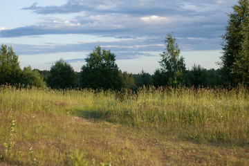 Evening landscape in the Russian Outback