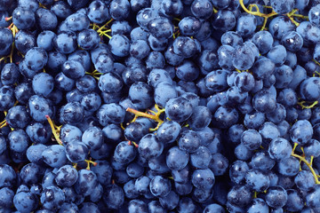 Grape background. Dark grape. Blue grape. Wine grape.
