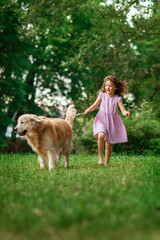 Little girl playing with a golden retriever, outdoor summer