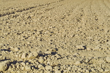 Terre labourée