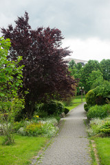 landscape design. beautiful nature