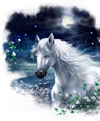 White horse in the night against the night sky and moon. Digital painting.
