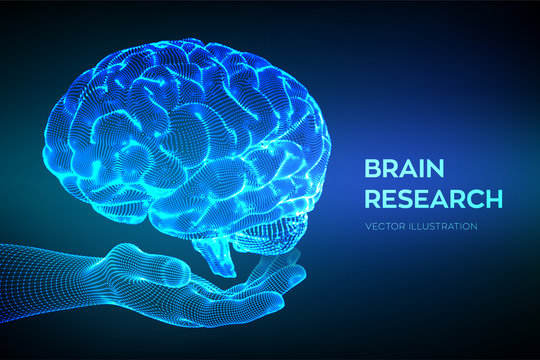 Brain. Human brain research. 3D Science and Technology concept. Neural network. IQ testing, artificial intelligence virtual emulation science technology. Brainstorm think idea. Vector illustration.