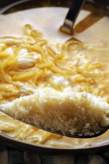 Grana padano  ft7111_2032 Parmigiano reggiano