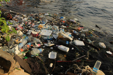 Plastic pollution on beach and in sea